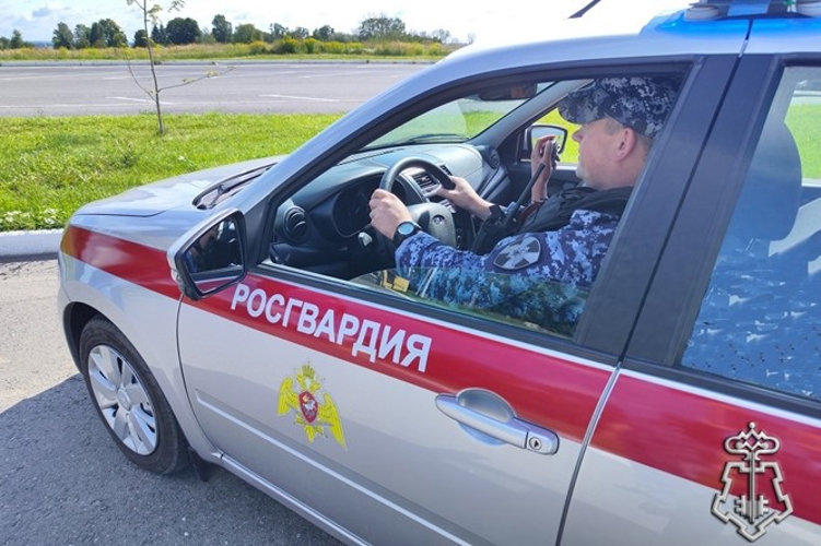 В Брянске сотрудники вневедомственной охраны Росгвардии задержали грабительницу