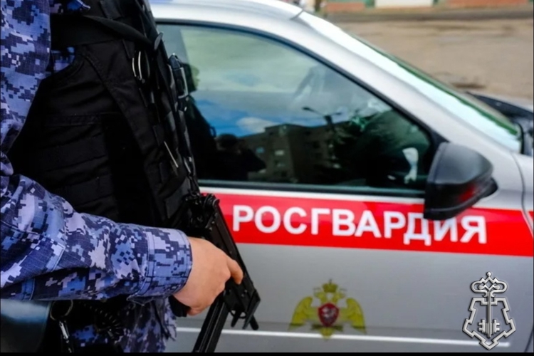 Росгвардейцы 15 раз выезжали по сообщениям из дежурных частей отделов полиции