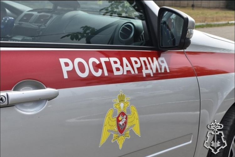 Росгвардейцы задержали подозреваемых в краже из спортивного магазина в Брянске