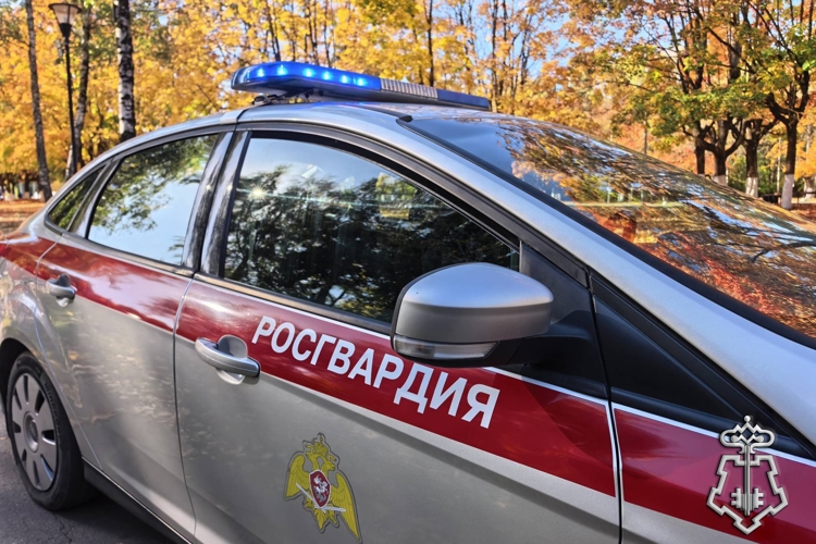 Более 30 правонарушителей задержали росгвардейцы за прошлую неделю в Брянске